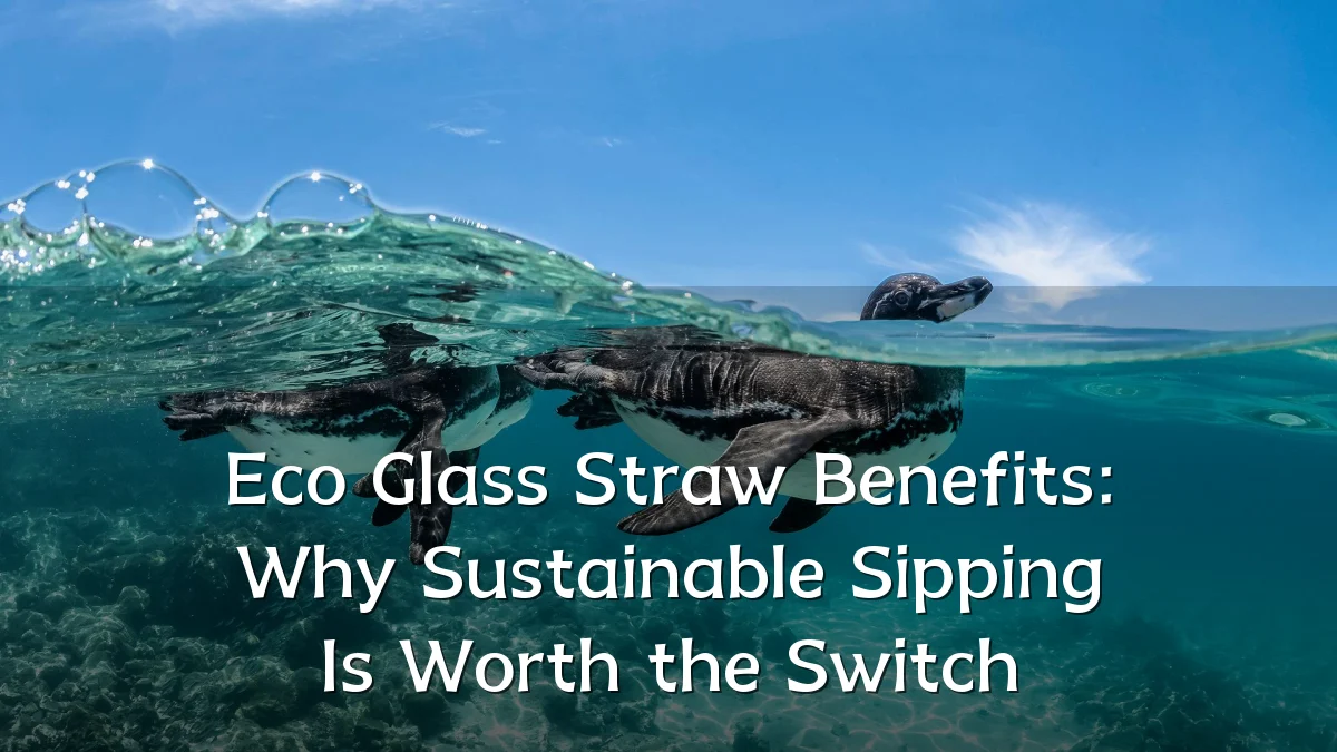 Eco Glass Straw Benefits: Why Sustainable Sipping Is Worth the Switch
