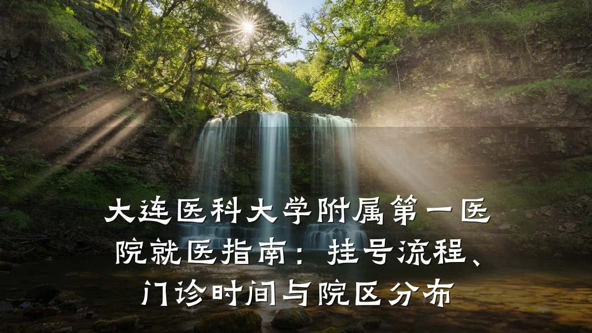 大连医科大学附属第一医院就医指南:挂号流程、门诊时间与院区分布