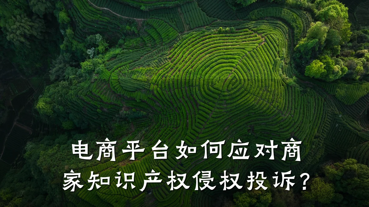 电商平台如何应对商家知识产权侵权投诉？