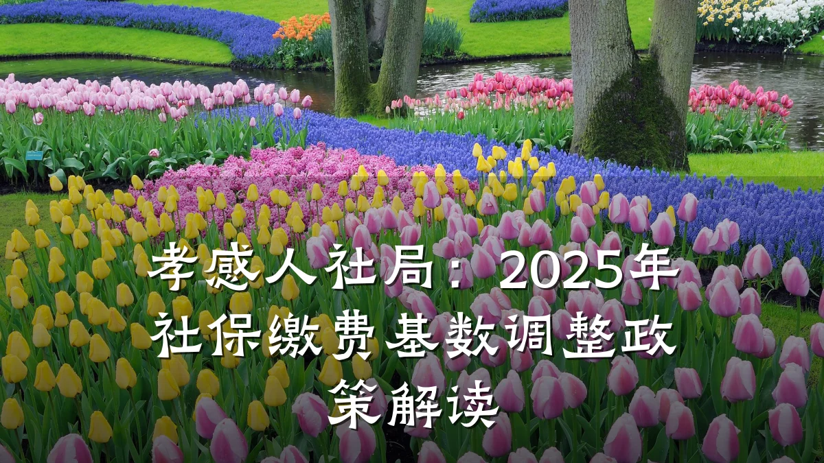 孝感人社局:2025年社保缴费基数调整政策解读
