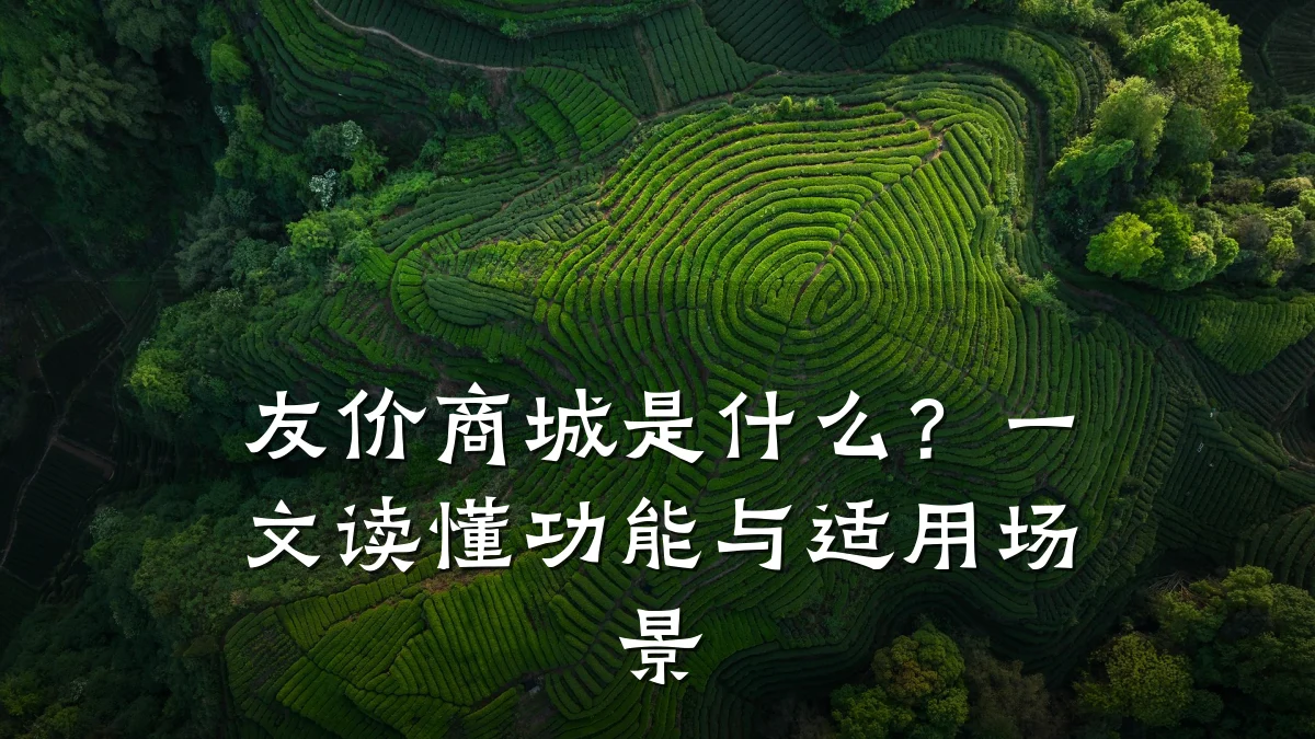友价商城是什么？一文读懂功能与适用场景