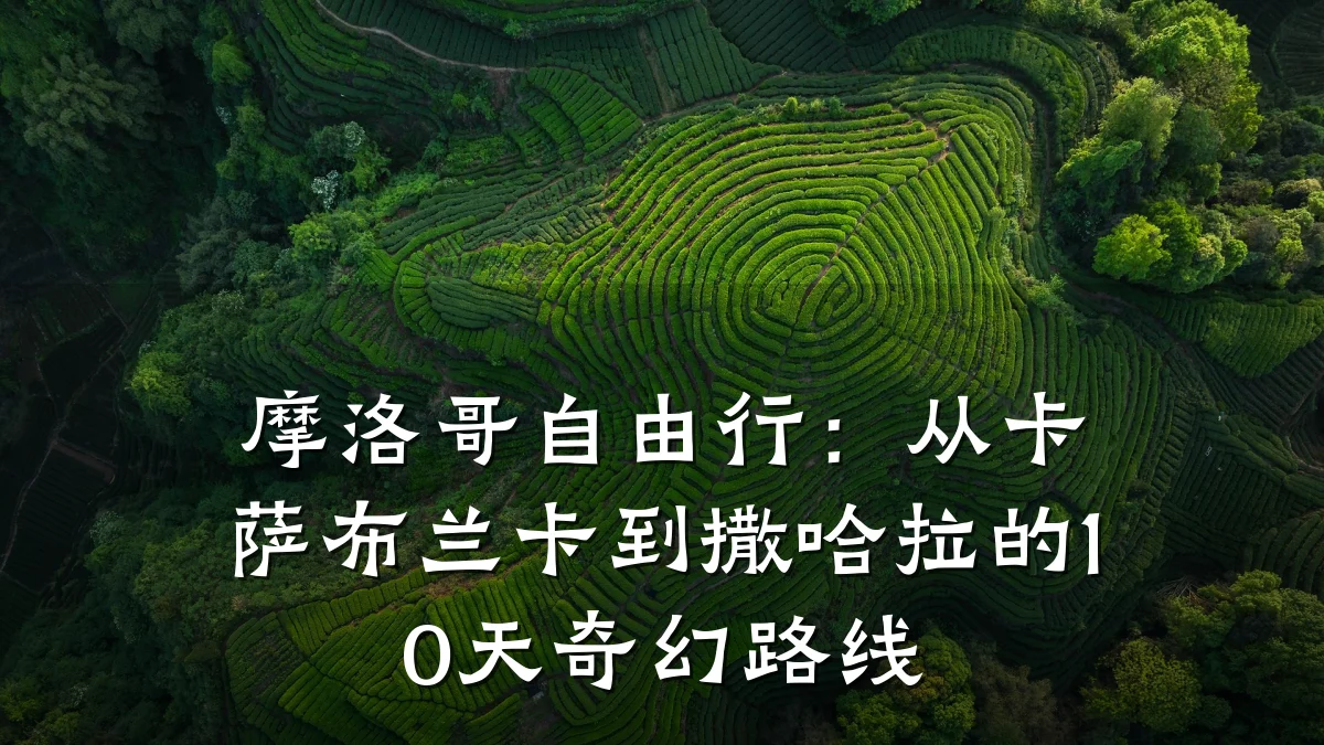 摩洛哥自由行：从卡萨布兰卡到撒哈拉的10天奇幻路线