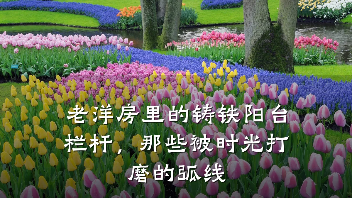 老洋房里的铸铁阳台栏杆，那些被时光打磨的弧线