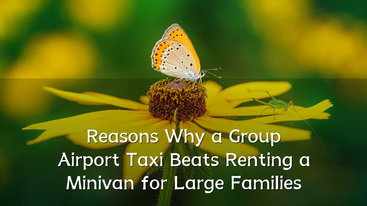 Reasons Why a Group Airport Taxi Beats Renting a Minivan for Large Families