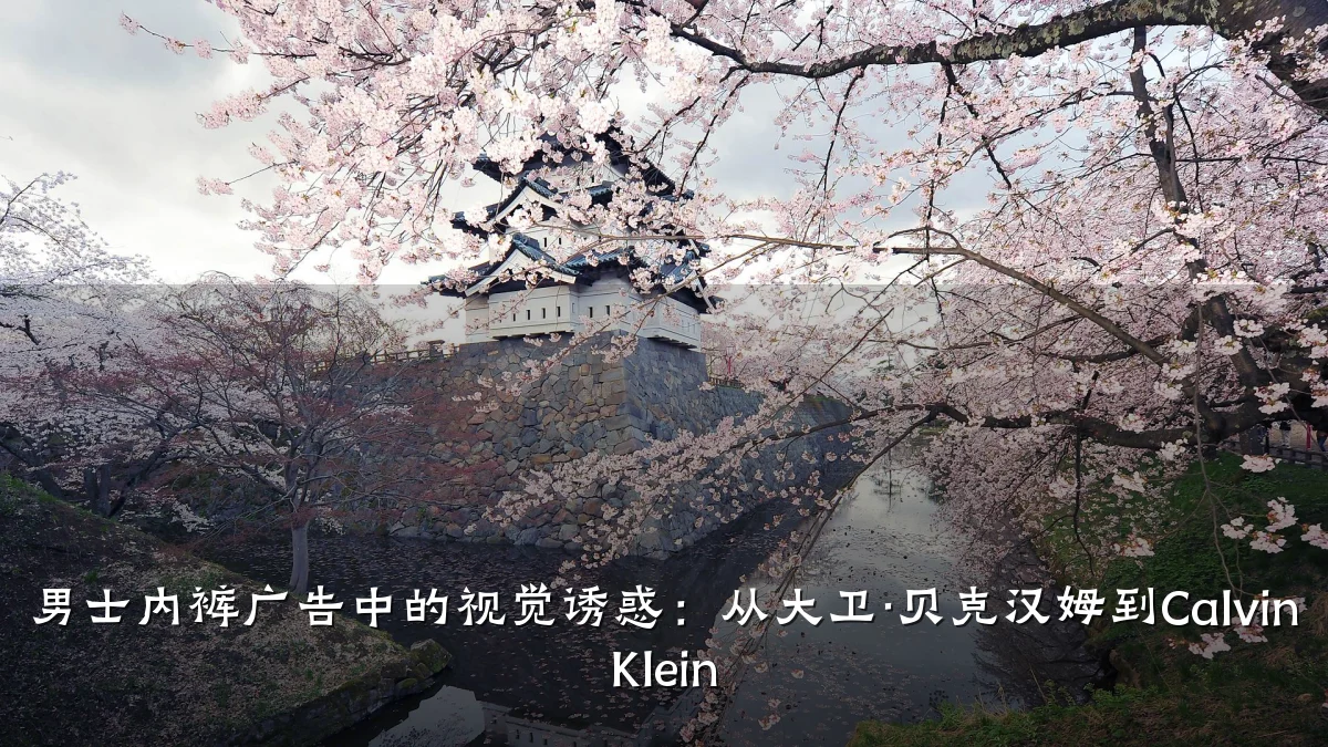 男士内裤广告中的视觉诱惑:从大卫·贝克汉姆到Calvin Klein