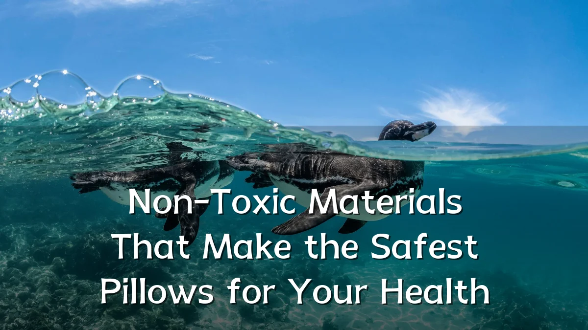 Non-Toxic Materials That Make the Safest Pillows for Your Health