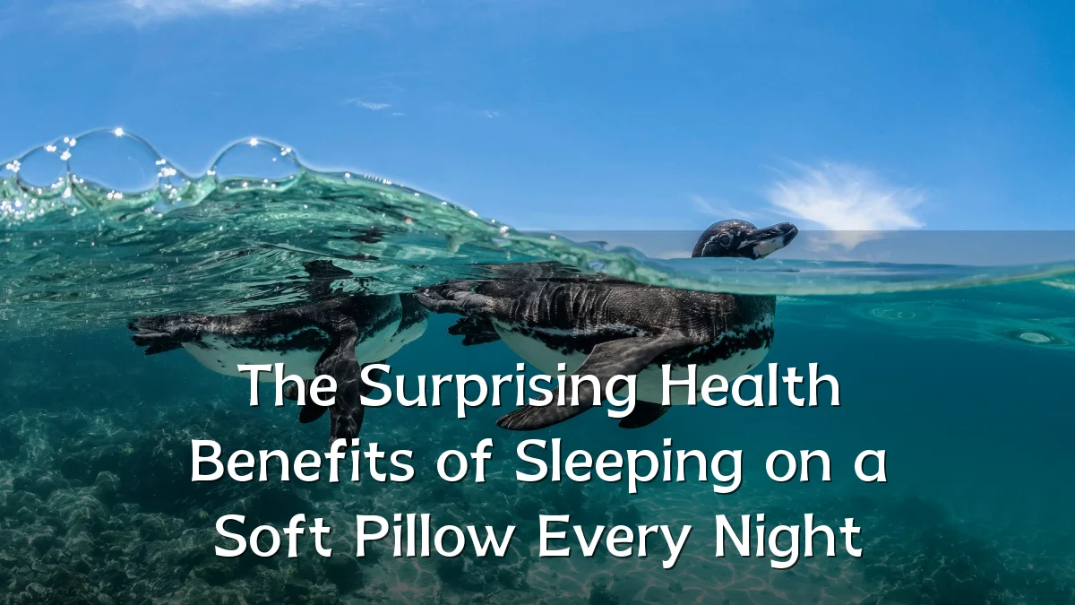 The Surprising Health Benefits of Sleeping on a Soft Pillow Every Night