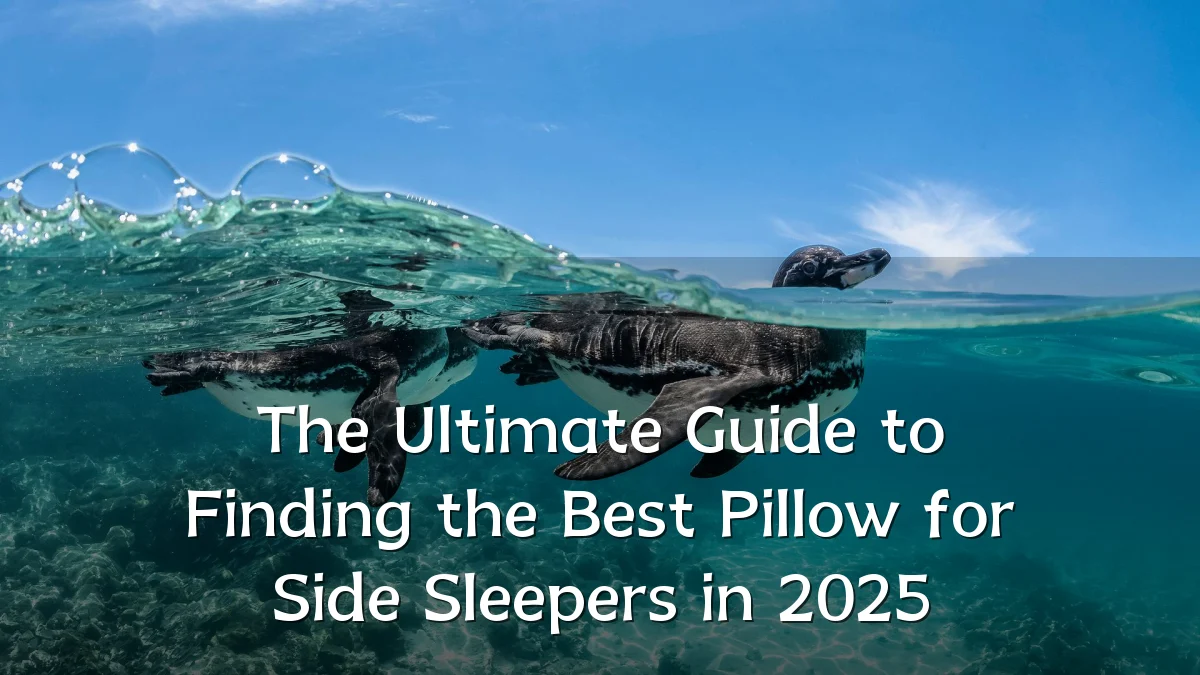The Ultimate Guide to Finding the Best Pillow for Side Sleepers in 2025