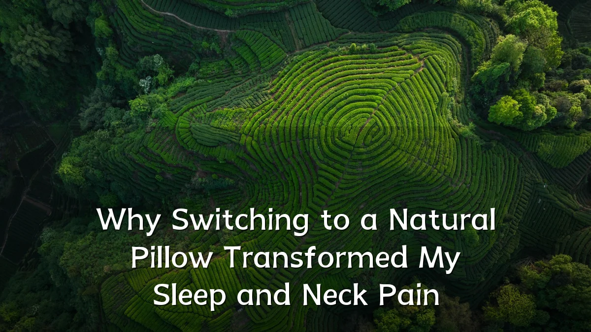Why Switching to a Natural Pillow Transformed My Sleep and Neck Pain