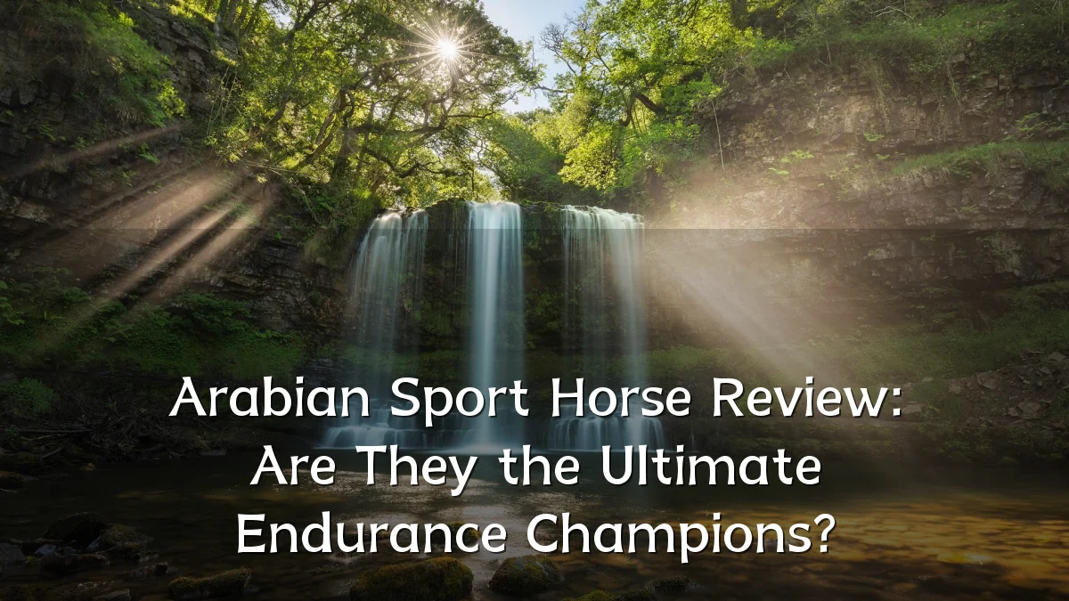 Arabian Sport Horse Review: Are They the Ultimate Endurance Champions?