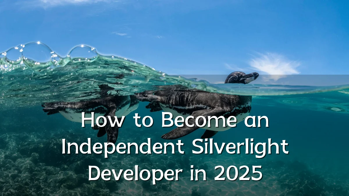 How to Become an Independent Silverlight Developer in 2025