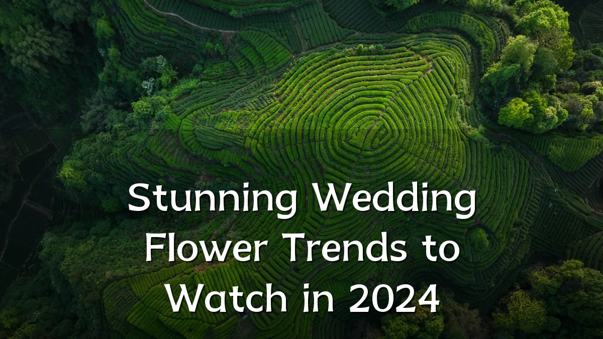Stunning Wedding Flower Trends to Watch in 2024
