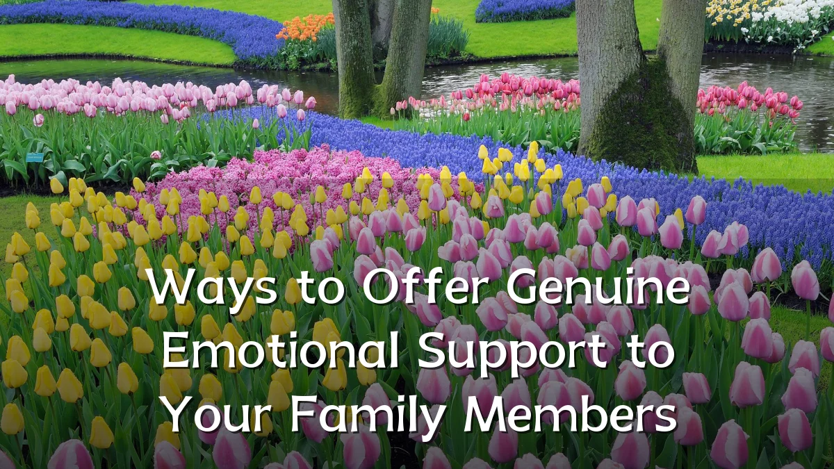 Ways to Offer Genuine Emotional Support to Your Family Members