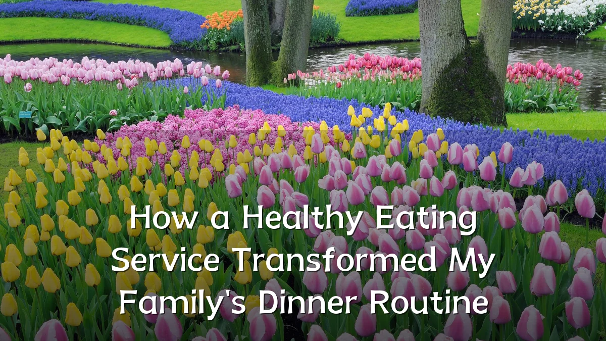 How a Healthy Eating Service Transformed My Family's Dinner Routine