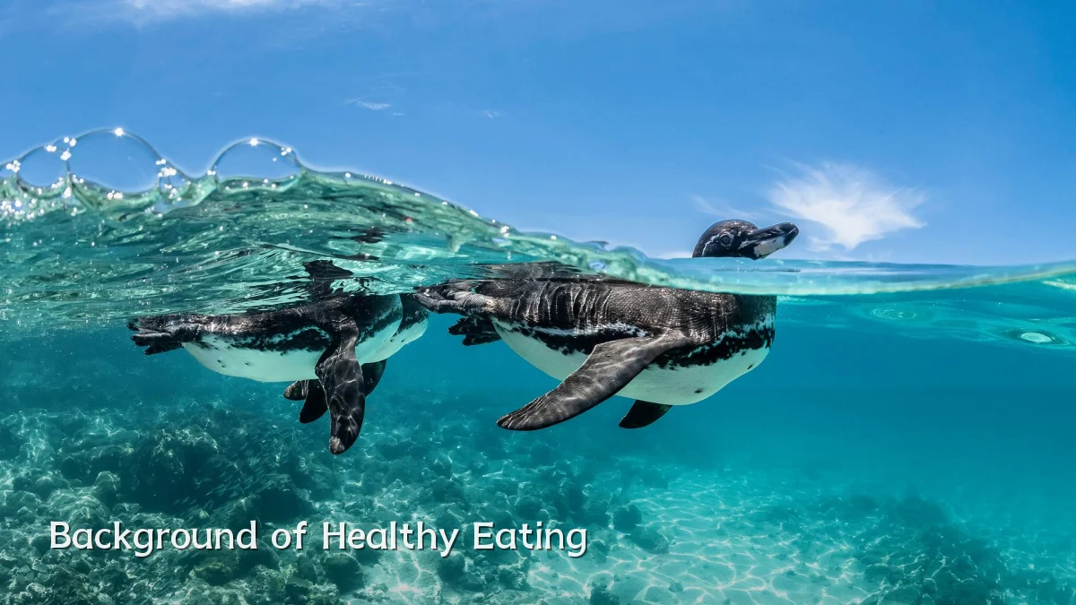 Background of Healthy Eating