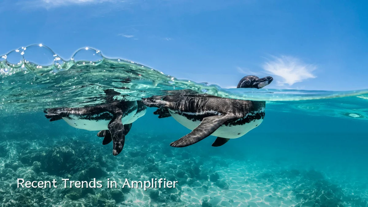 Recent Trends in Amplifier