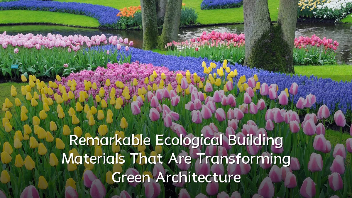 Remarkable Ecological Building Materials That Are Transforming Green Architecture