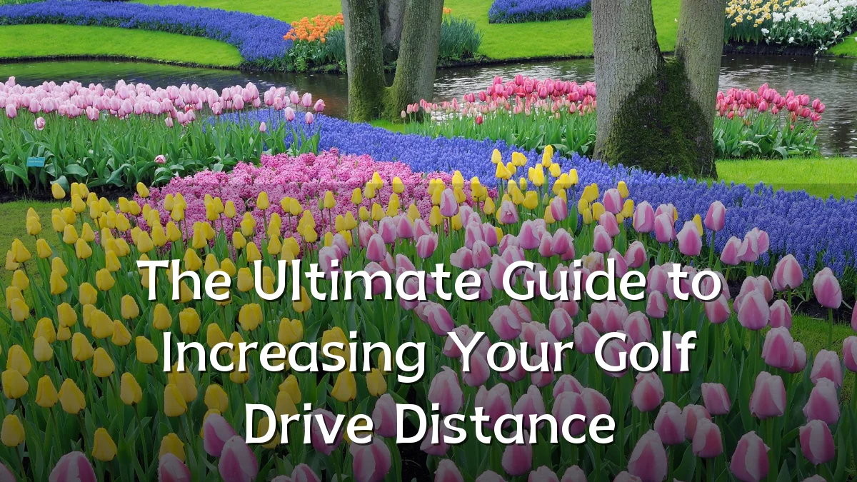 The Ultimate Guide to Increasing Your Golf Drive Distance