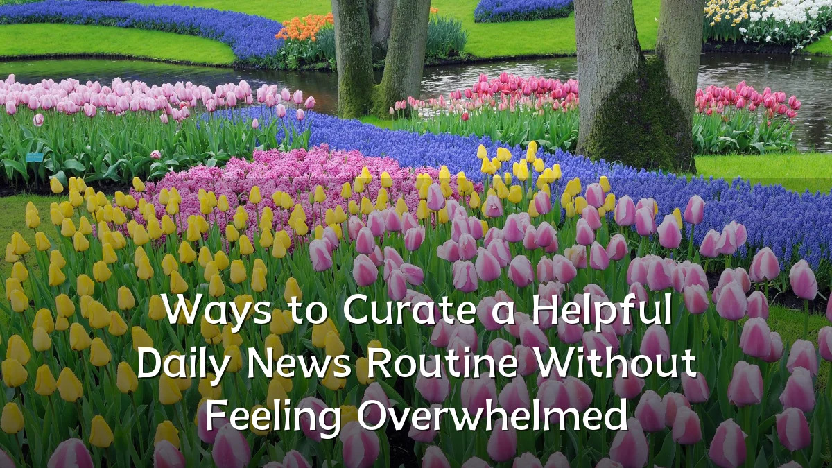 Ways to Curate a Helpful Daily News Routine Without Feeling Overwhelmed
