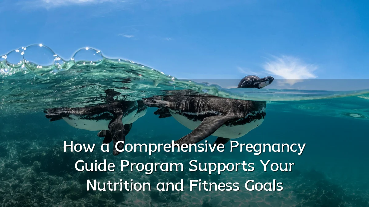 How a Comprehensive Pregnancy Guide Program Supports Your Nutrition and Fitness Goals