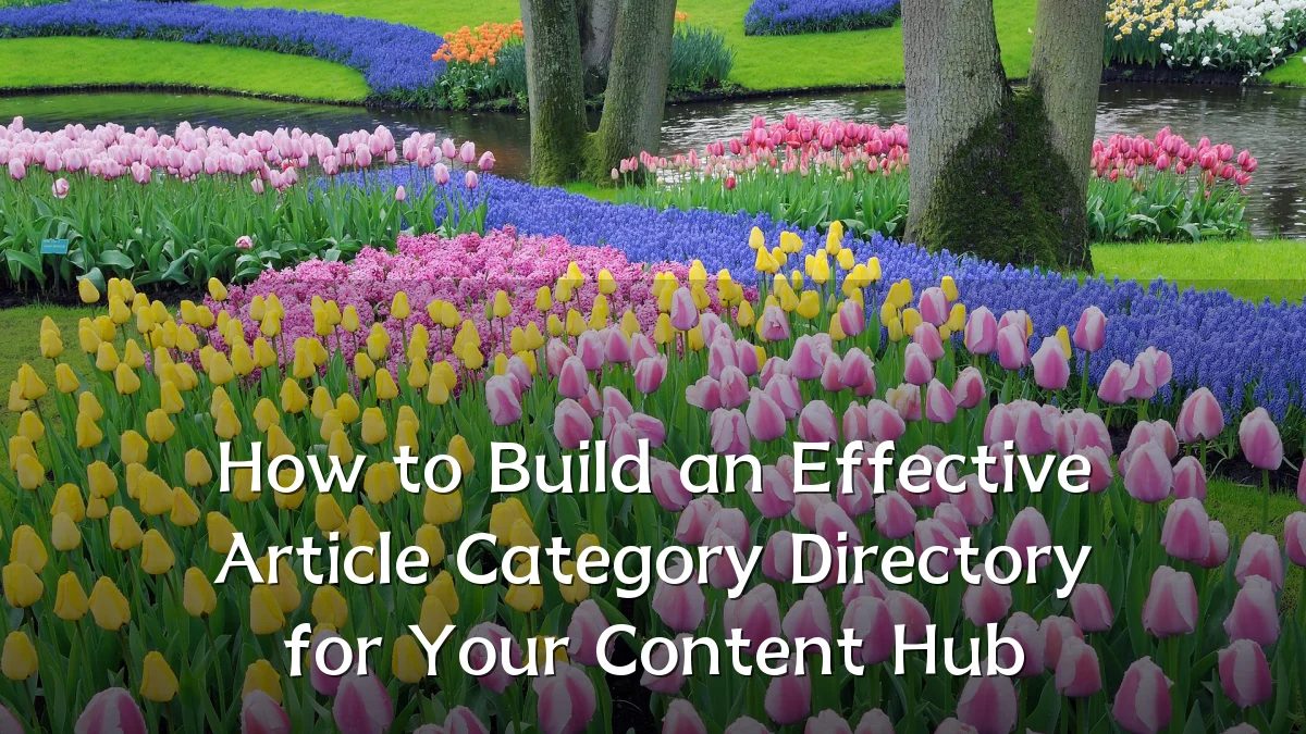 How to Build an Effective Article Category Directory for Your Content Hub