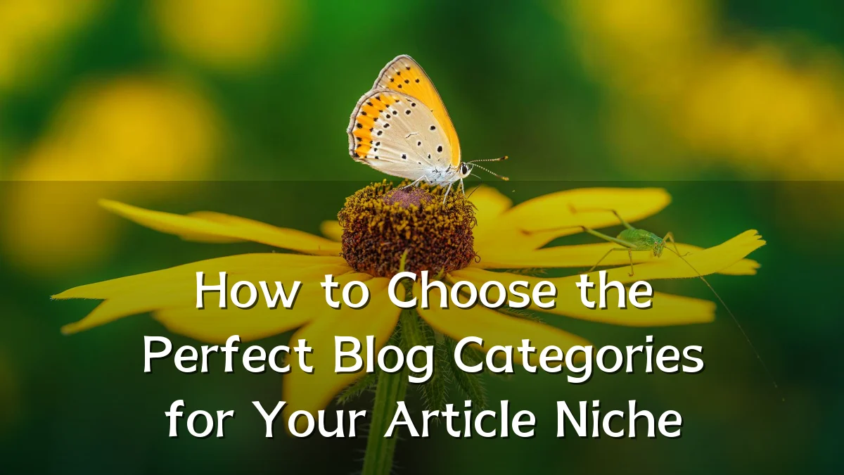 How to Choose the Perfect Blog Categories for Your Article Niche