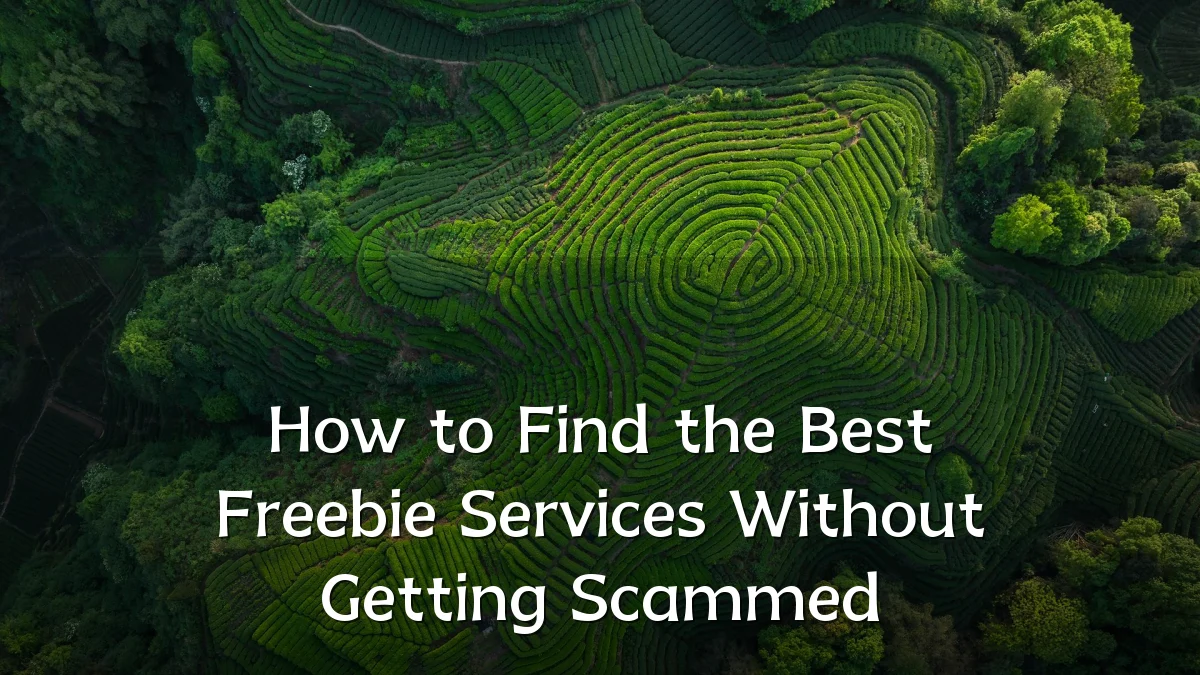 How to Find the Best Freebie Services Without Getting Scammed