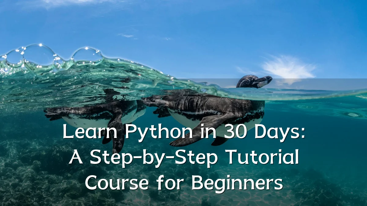 Learn Python in 30 Days: A Step-by-Step Tutorial Course for Beginners