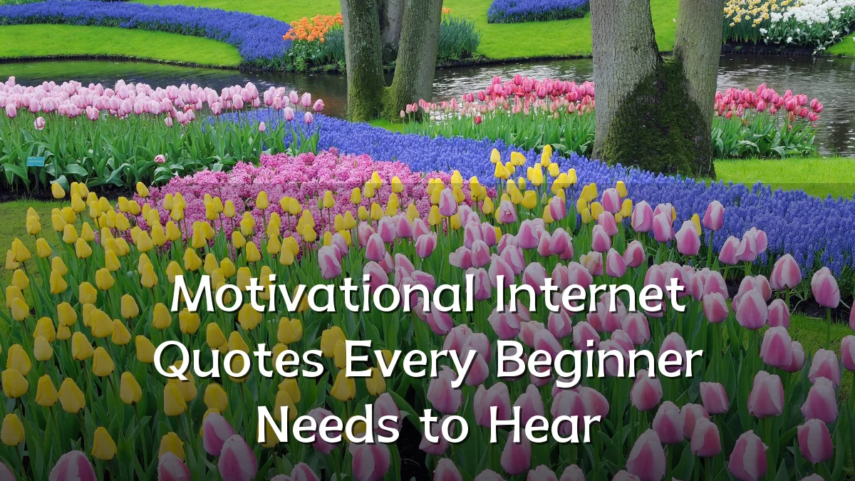 Motivational Internet Quotes Every Beginner Needs to Hear