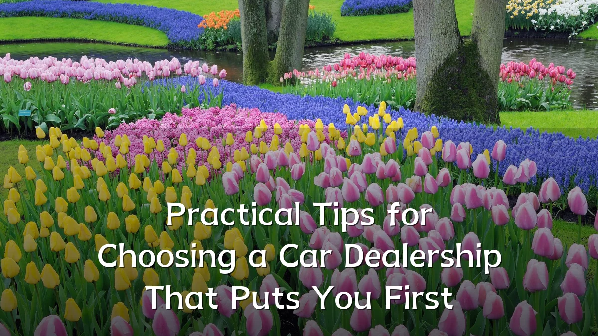 Practical Tips for Choosing a Car Dealership That Puts You First