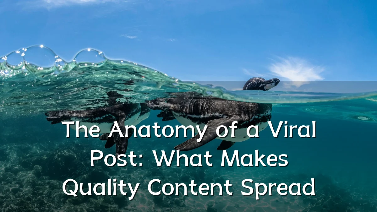 The Anatomy of a Viral Post: What Makes Quality Content Spread