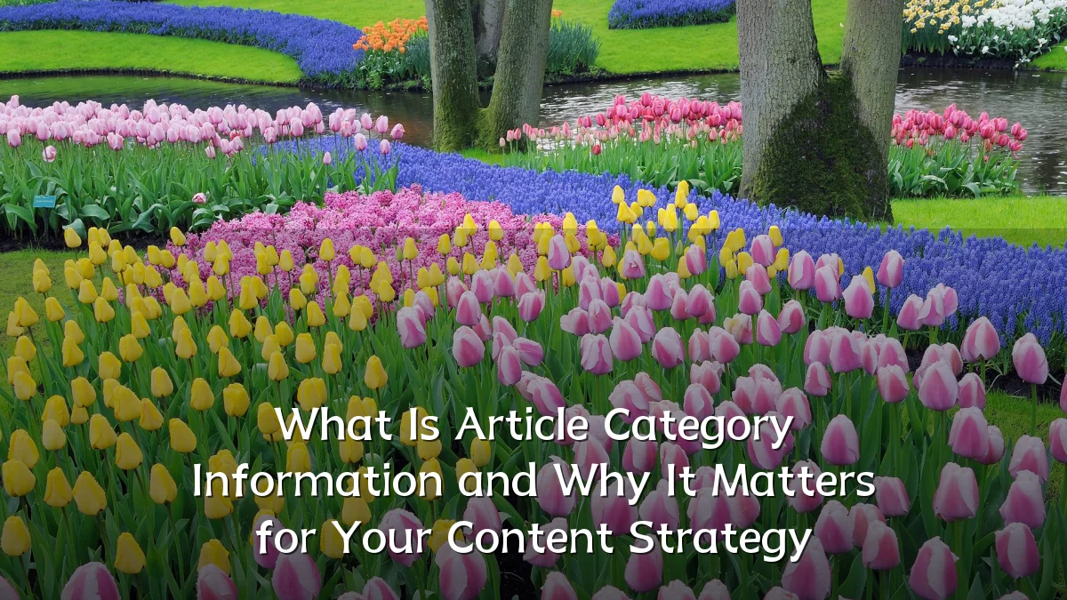 What Is Article Category Information and Why It Matters for Your Content Strategy