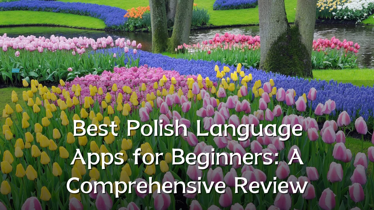Best Polish Language Apps for Beginners: A Comprehensive Review