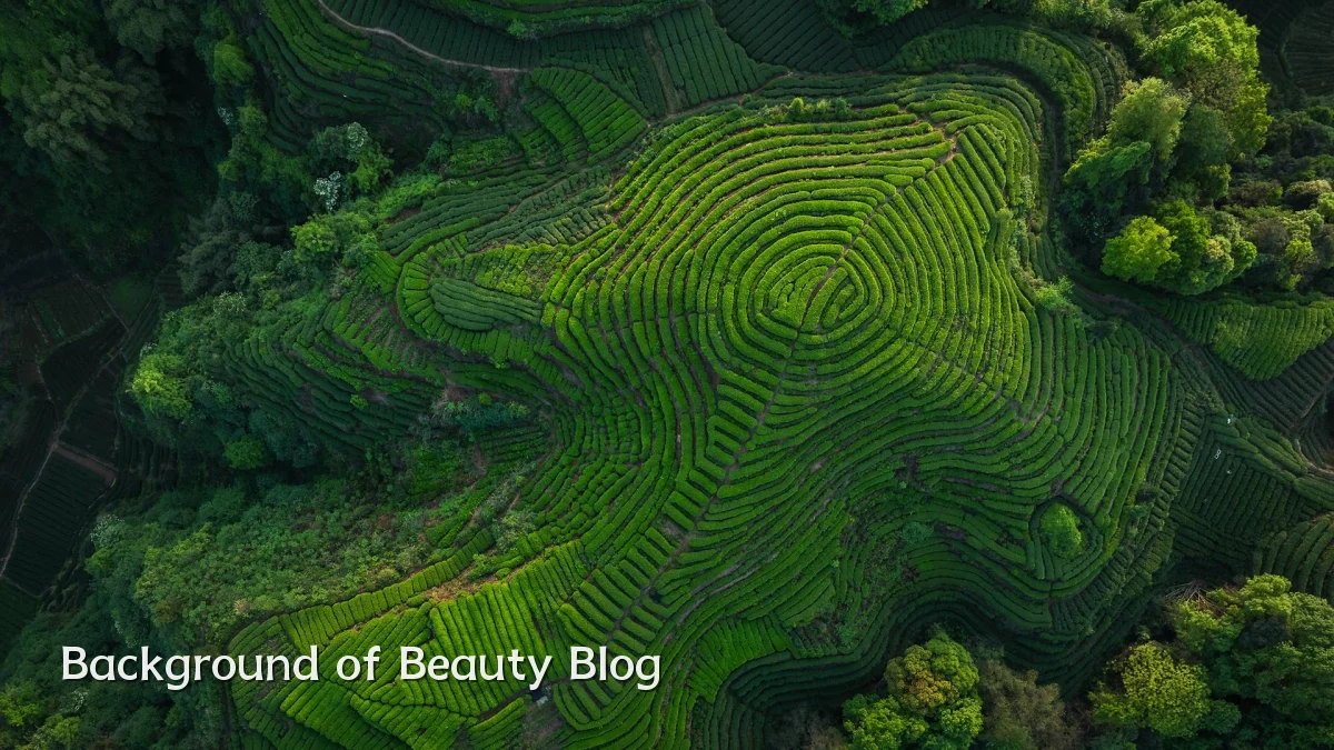 Background of Beauty Blog
