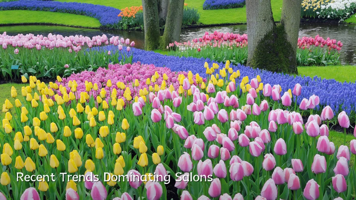 Recent Trends Dominating Salons