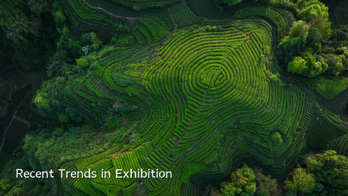 Recent Trends in Exhibition