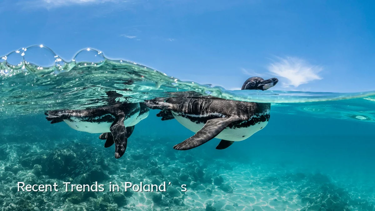Recent Trends in Poland’s