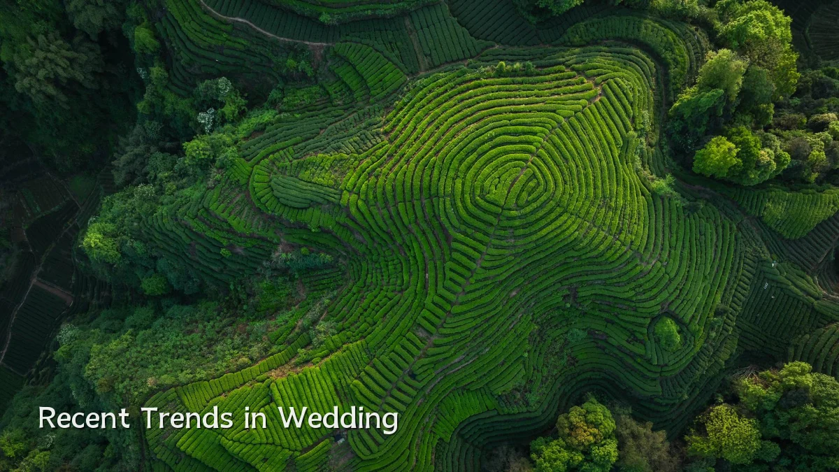 Recent Trends in Wedding