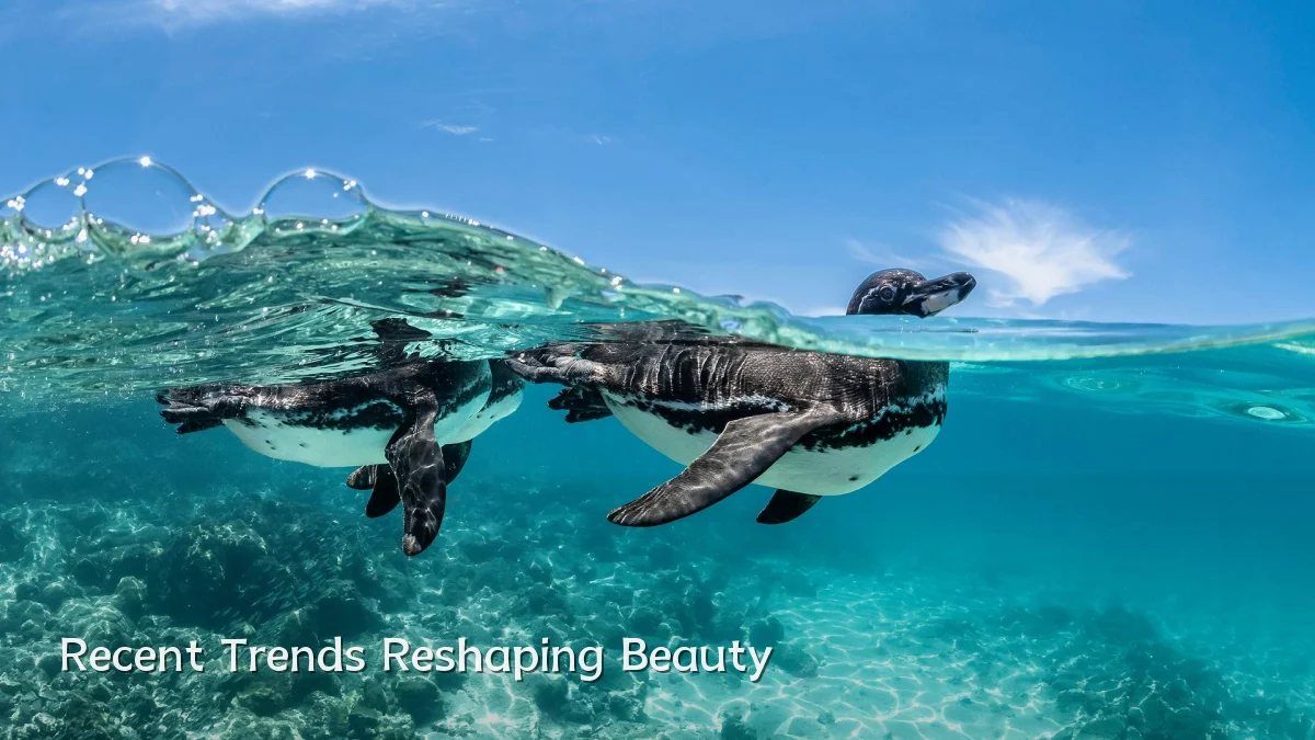 Recent Trends Reshaping Beauty