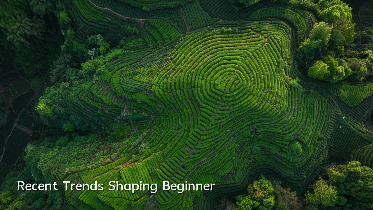 Recent Trends Shaping Beginner
