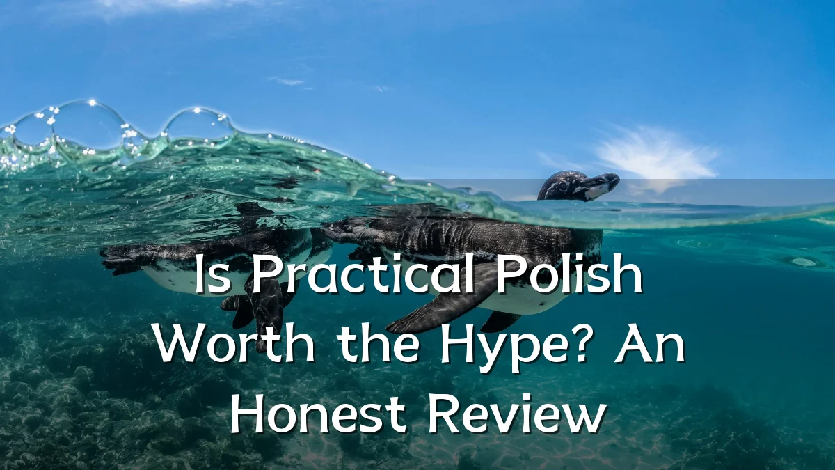 Is Practical Polish Worth the Hype? An Honest Review