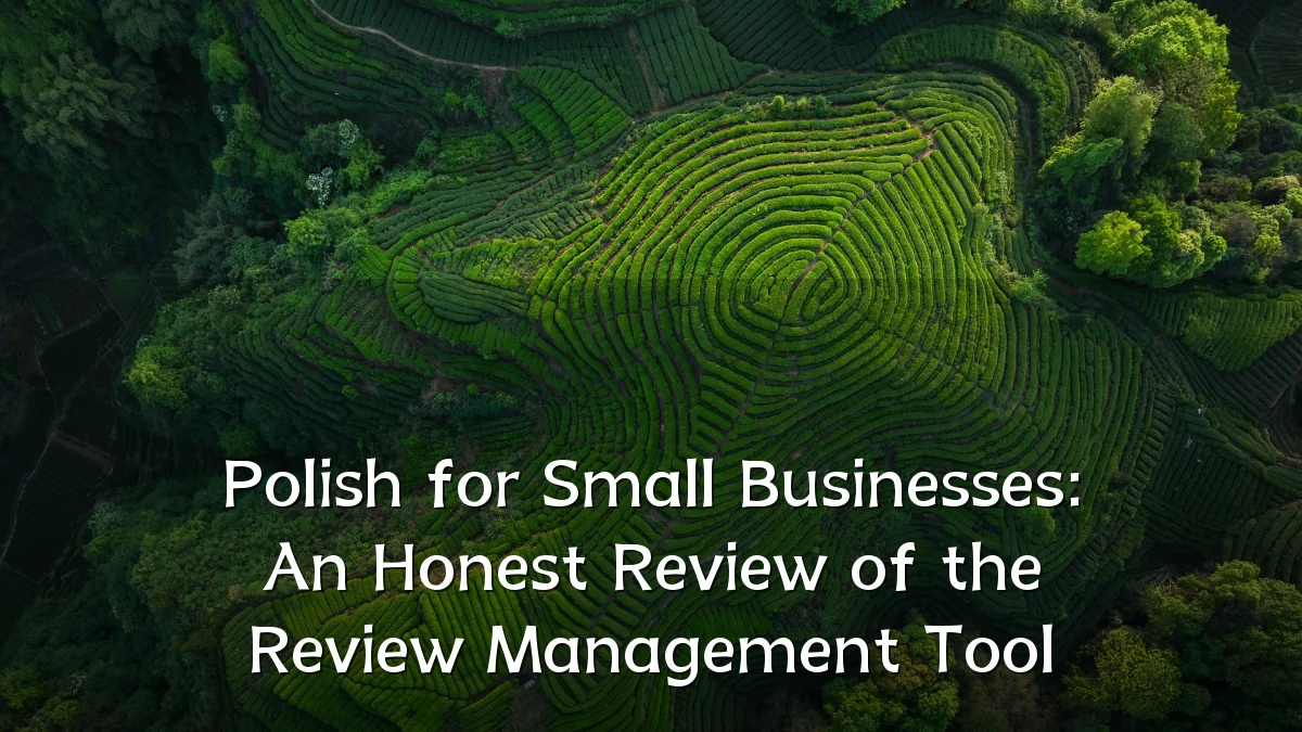 Polish for Small Businesses: An Honest Review of the Review Management Tool