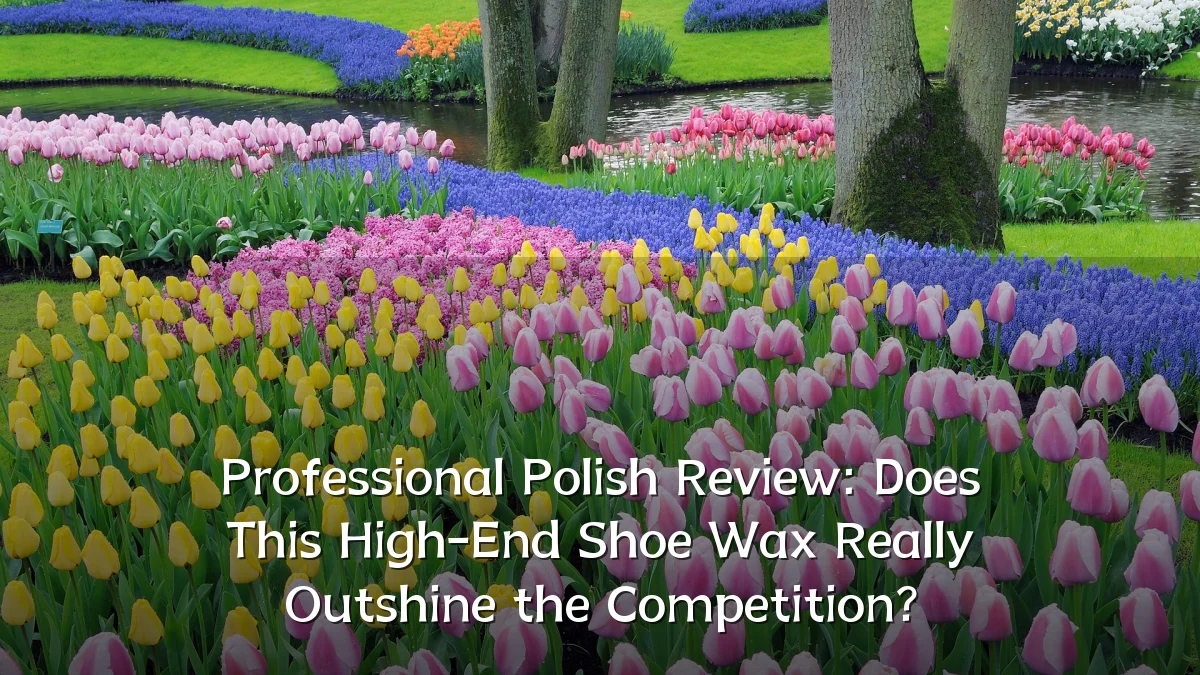 Professional Polish Review: Does This High-End Shoe Wax Really Outshine the Competition?