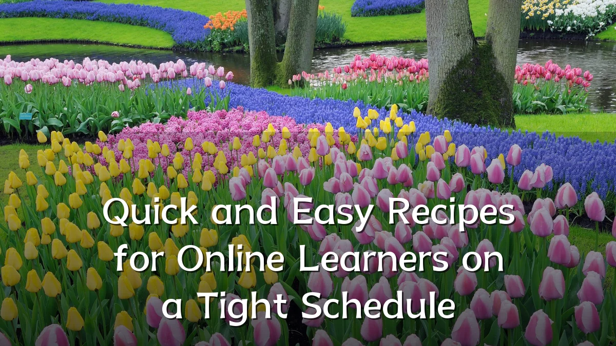 Quick and Easy Recipes for Online Learners on a Tight Schedule