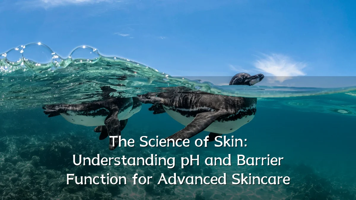 The Science of Skin: Understanding pH and Barrier Function for Advanced Skincare