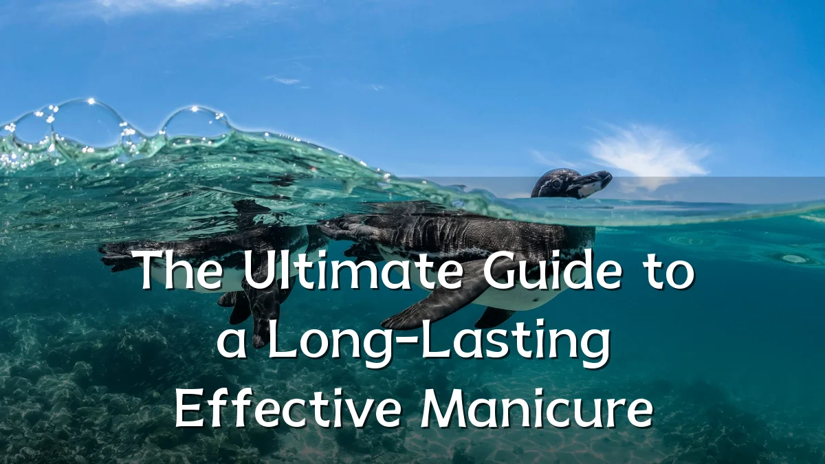 The Ultimate Guide to a Long-Lasting Effective Manicure