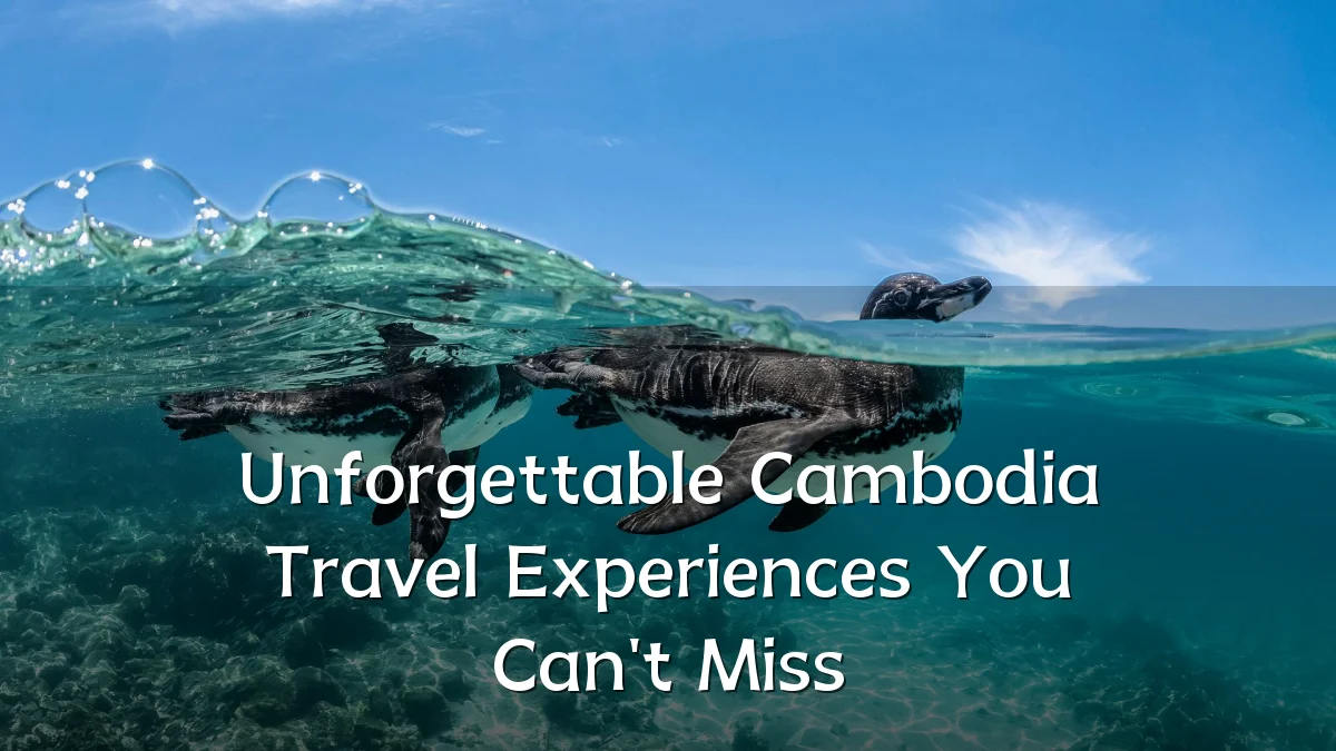 Unforgettable Cambodia Travel Experiences You Can't Miss