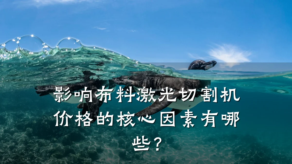 影响布料激光切割机价格的核心因素有哪些?