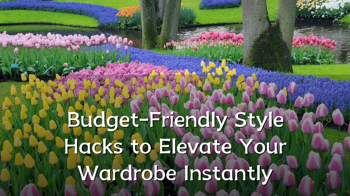 Budget-Friendly Style Hacks to Elevate Your Wardrobe Instantly