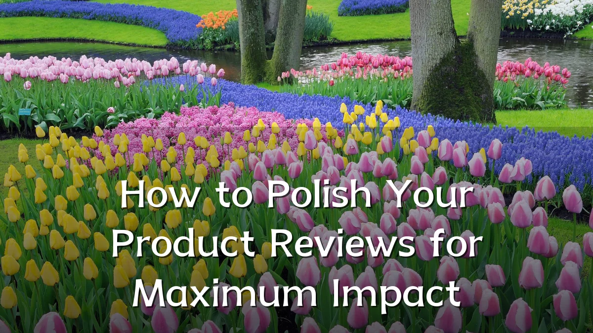 How to Polish Your Product Reviews for Maximum Impact